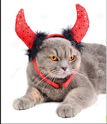Chat diable rouge