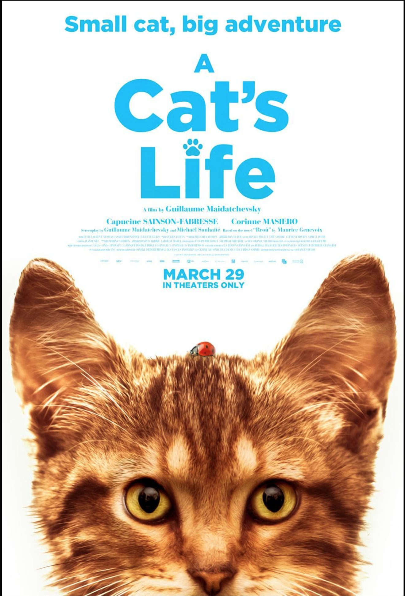 A cat s life