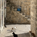 Budva
