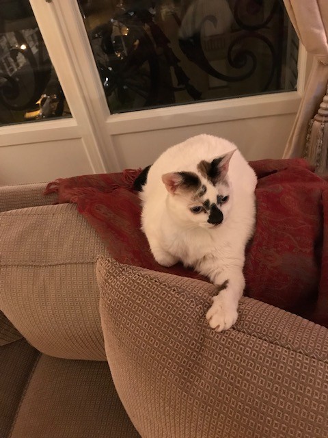 Bianca (Christine, Paris)