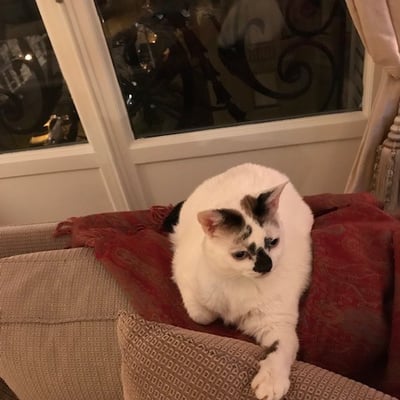 Bianca (Christine, Paris)
