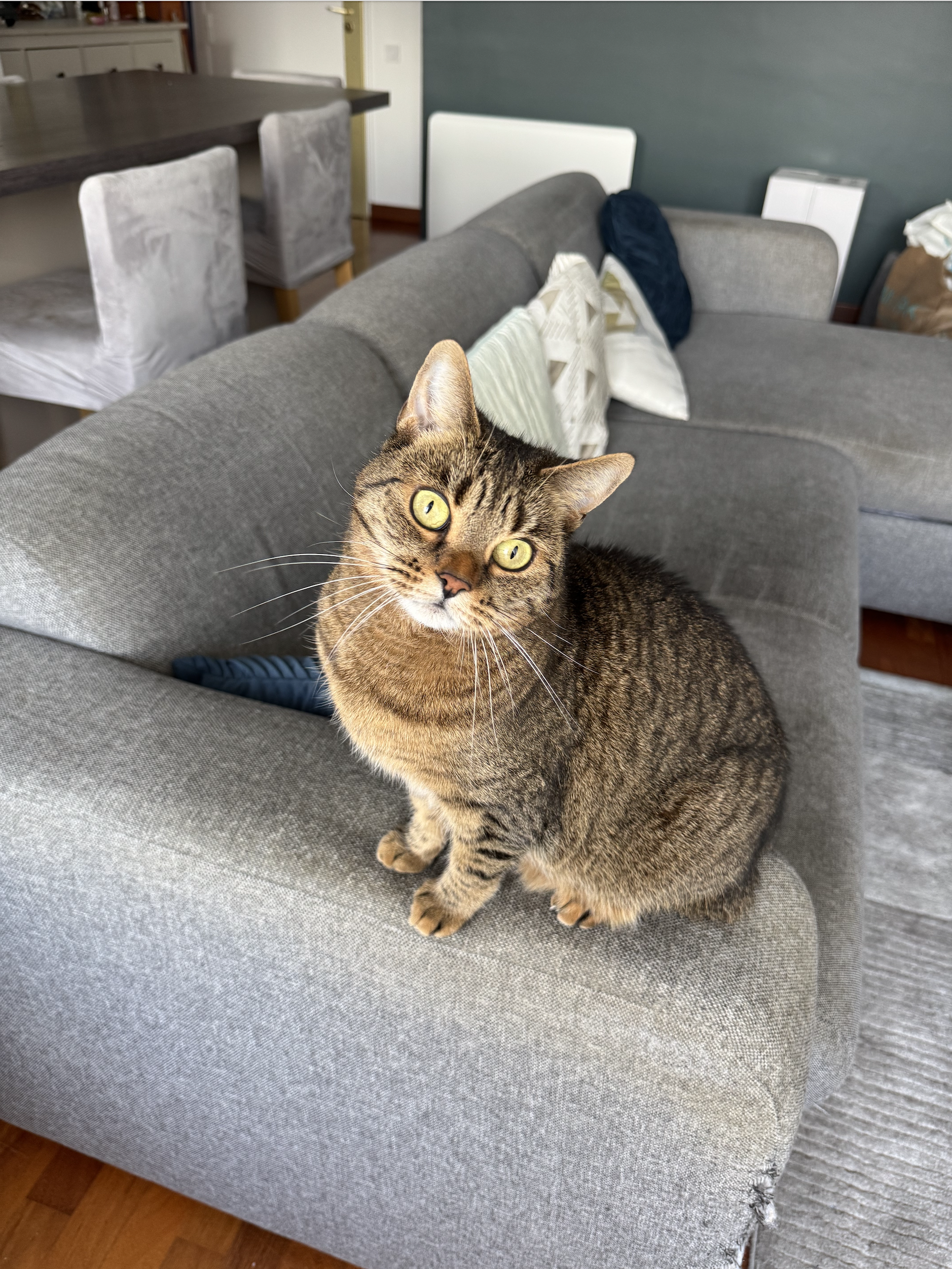 ET (Olivia, Issy-les-Moulineaux)