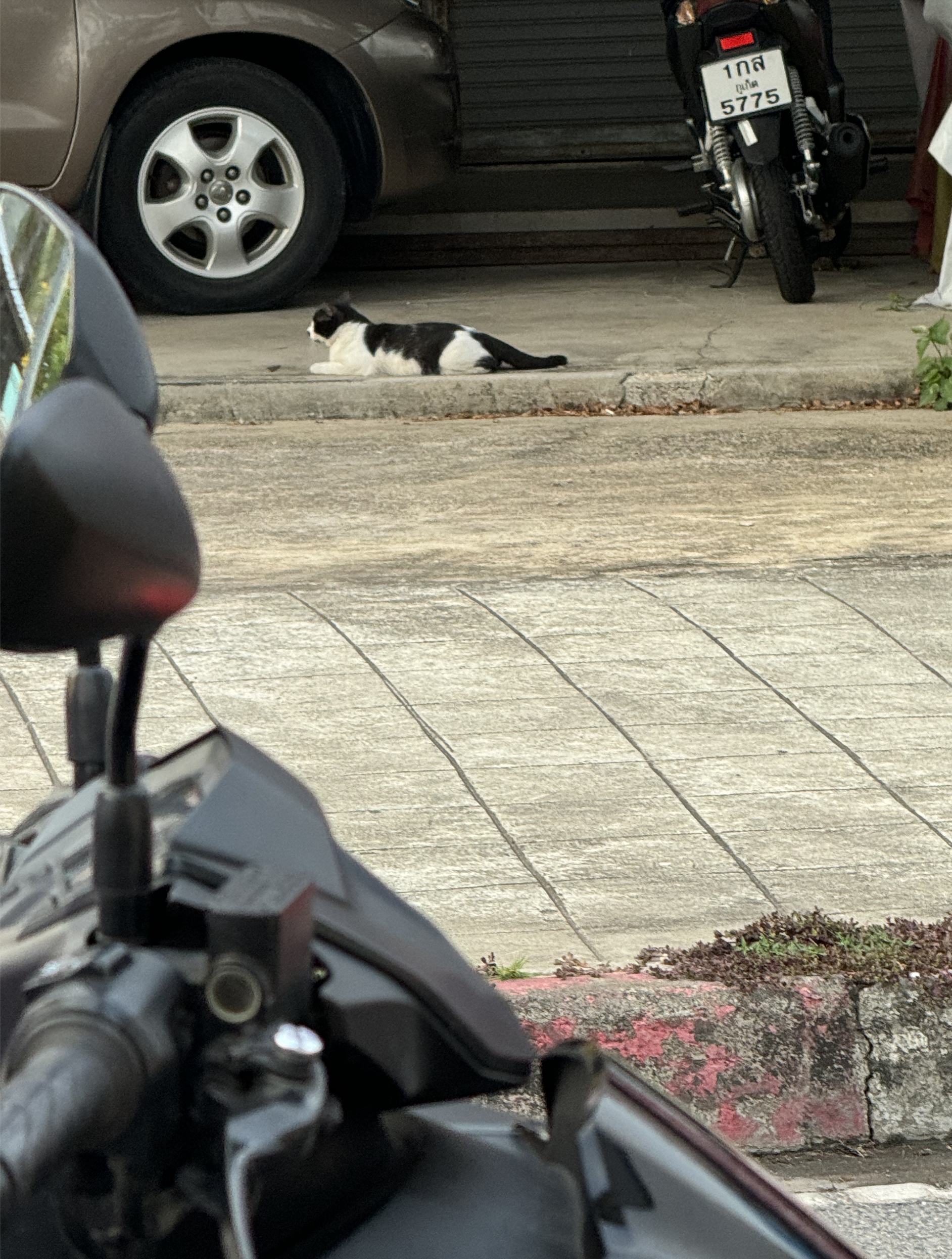 A Katu