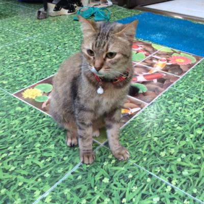 A Karon, dans un petit salon de massage