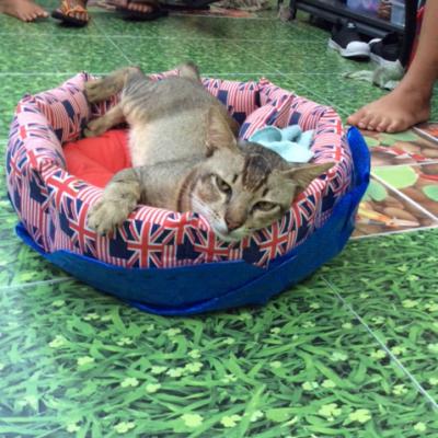 A Karon, dans un petit salon de massage