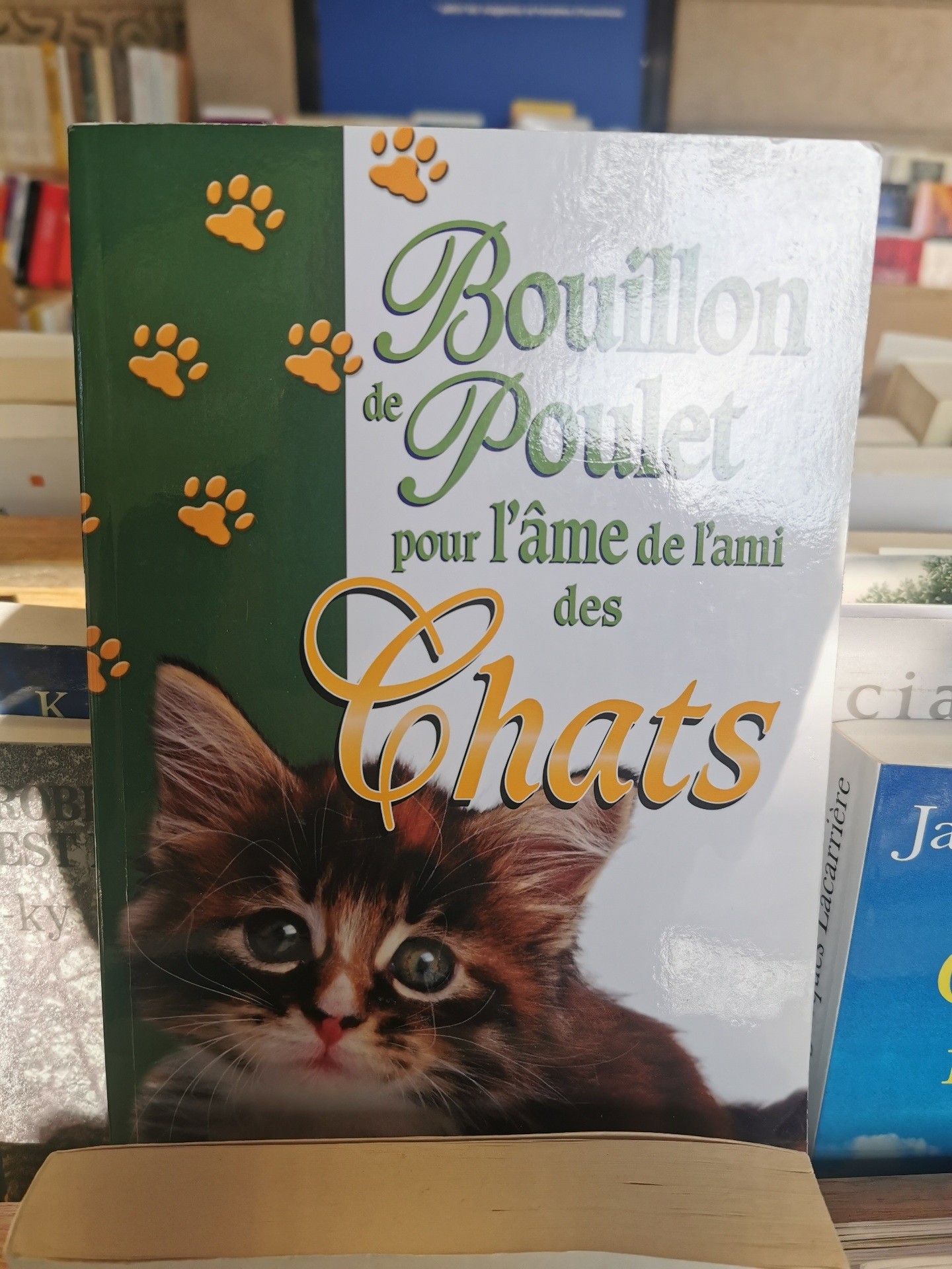 Histoires de chats
