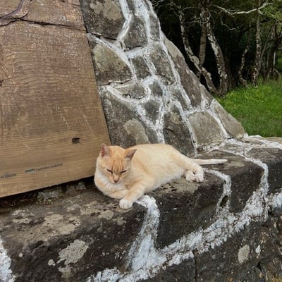 A Angra do Heroismo, île de Terceira
