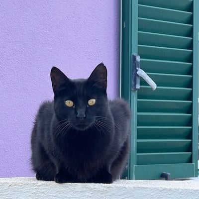 A Urzelina, île de Sao Jorge