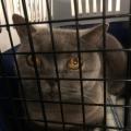 Titou, la fille