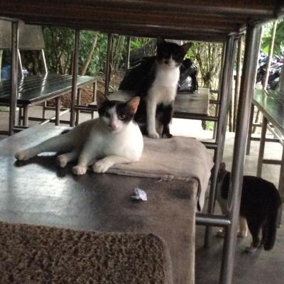 A Karon, dans le garage du Méridien