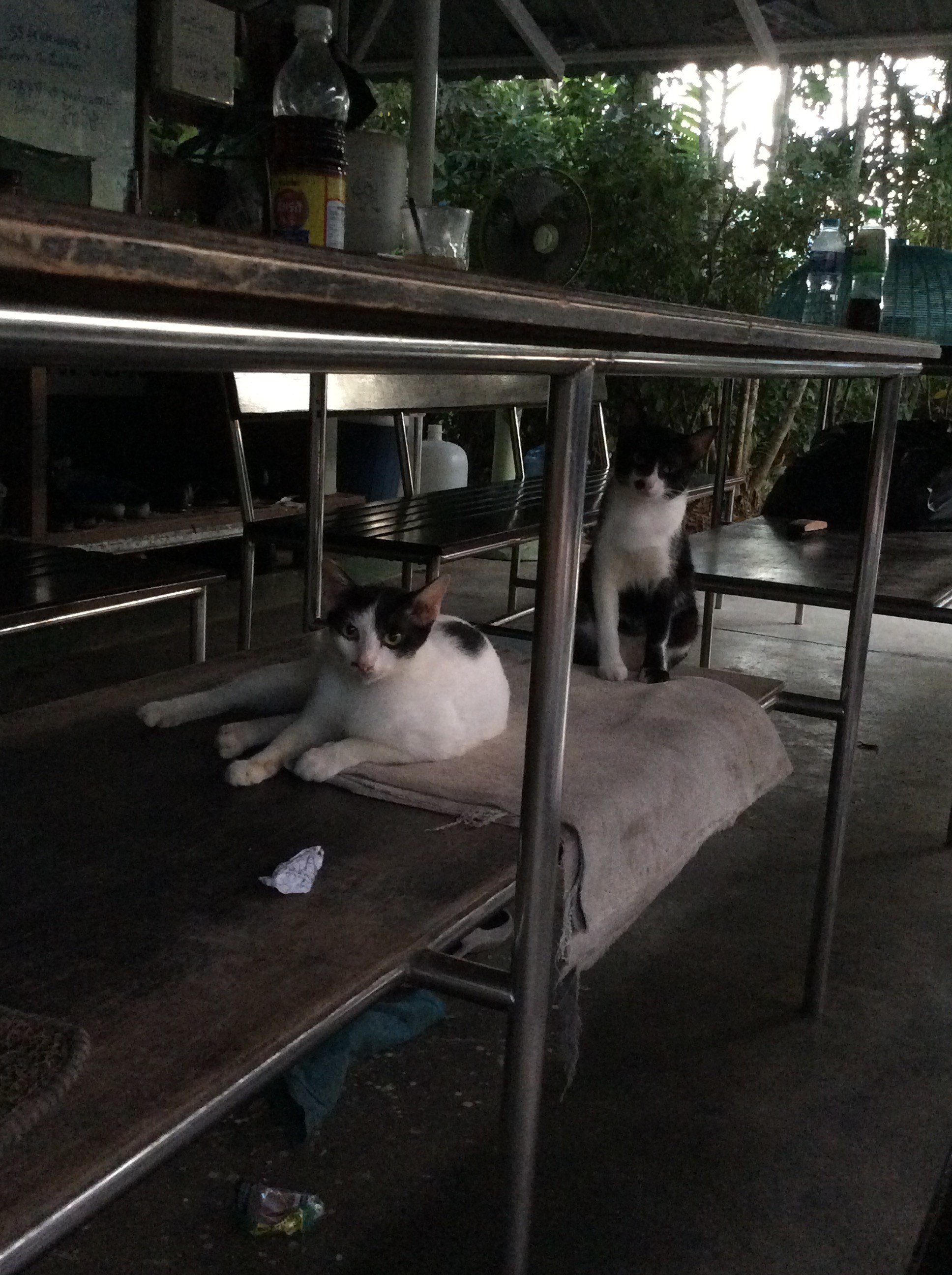 A Karon, dans le garage de l'hôtel