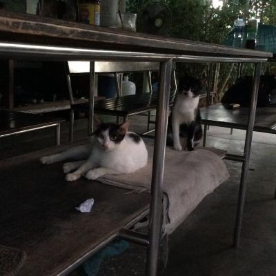 A Karon, dans le garage du Méridien