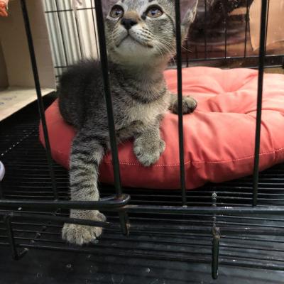 A Karon, son bébé dans le petit salon de massage