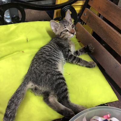 A Karon, dans un petit salon de massage