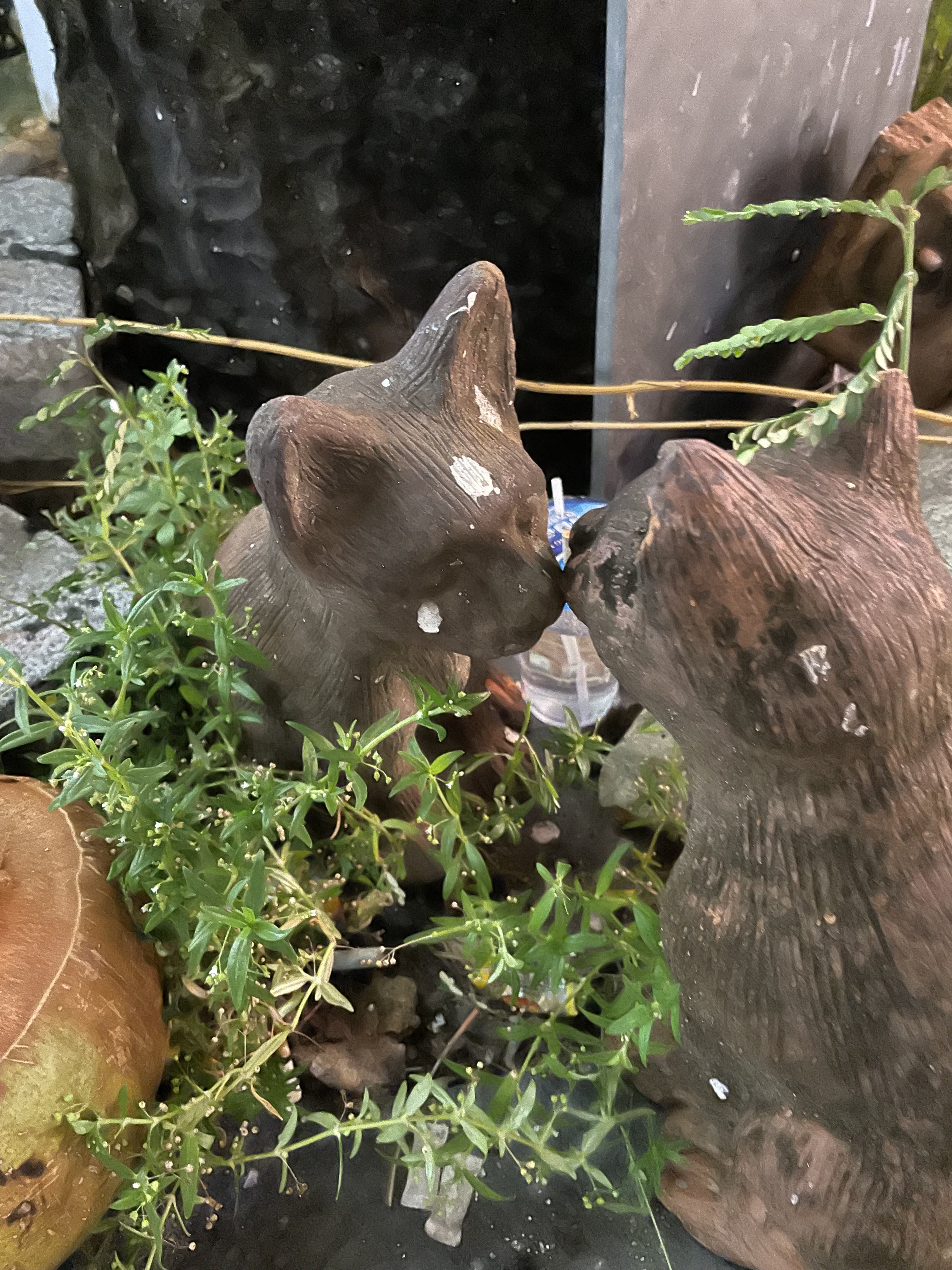 A Karon, près du restaurant Bai Toey 