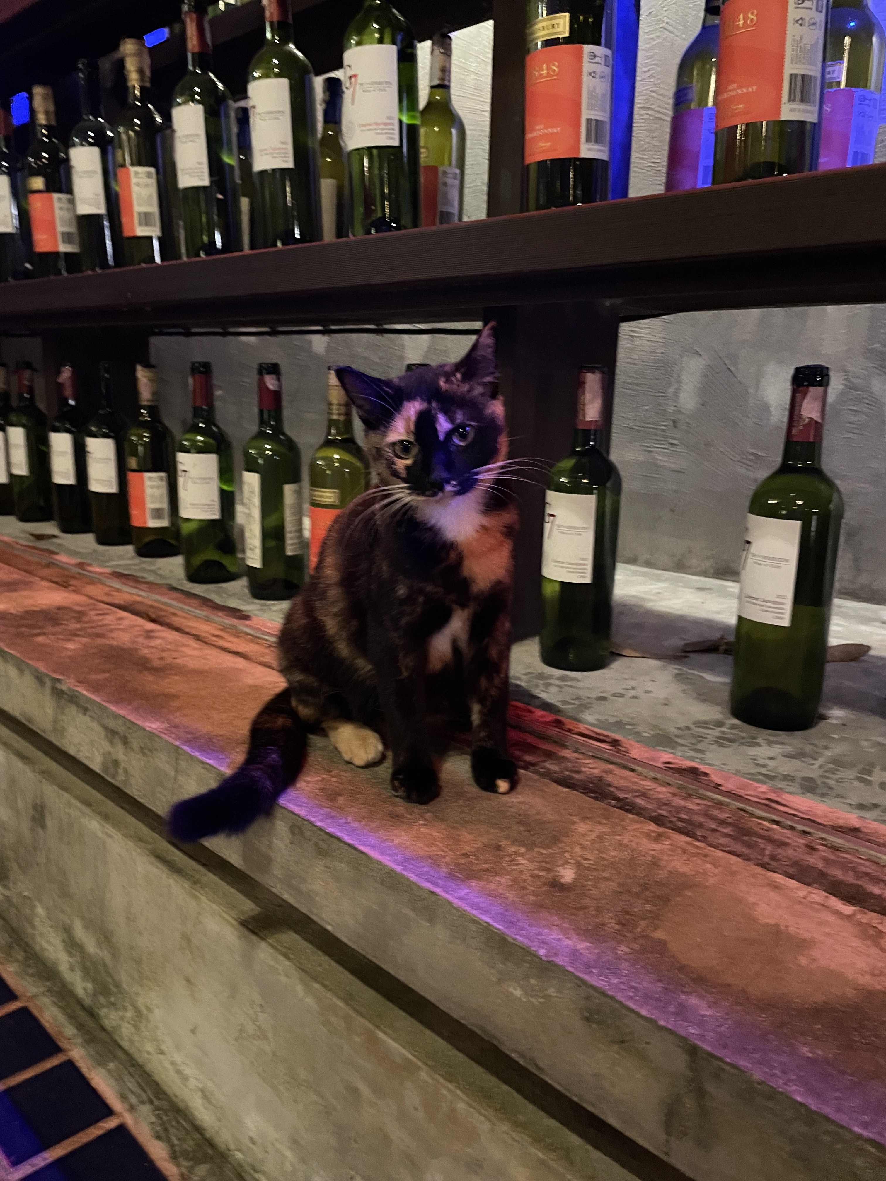 A Phuket Town, au restaurant Kho Rang Brezze