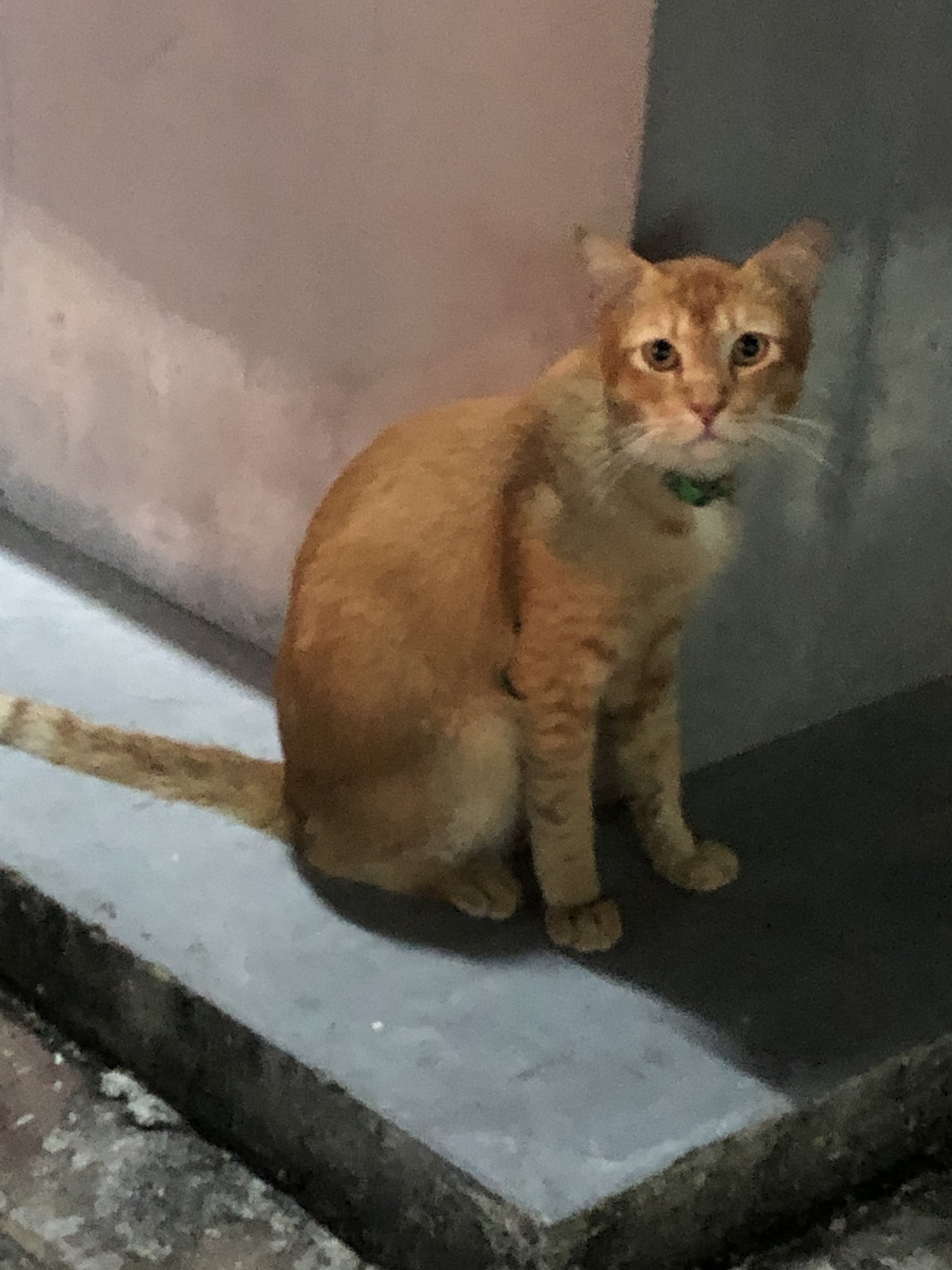 A Patong, à côté de Sweet dreams