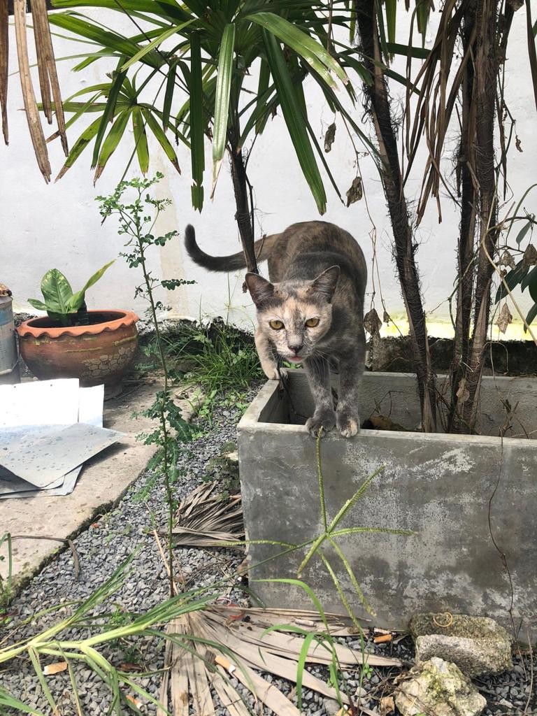 A Patong, près de la shop de Bass