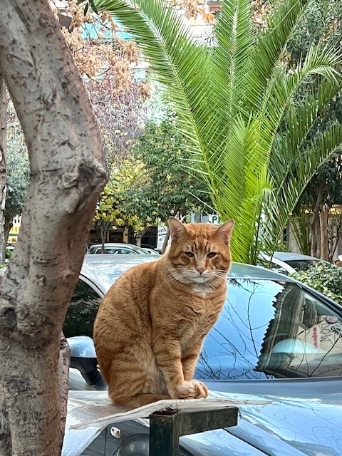 A Athènes
