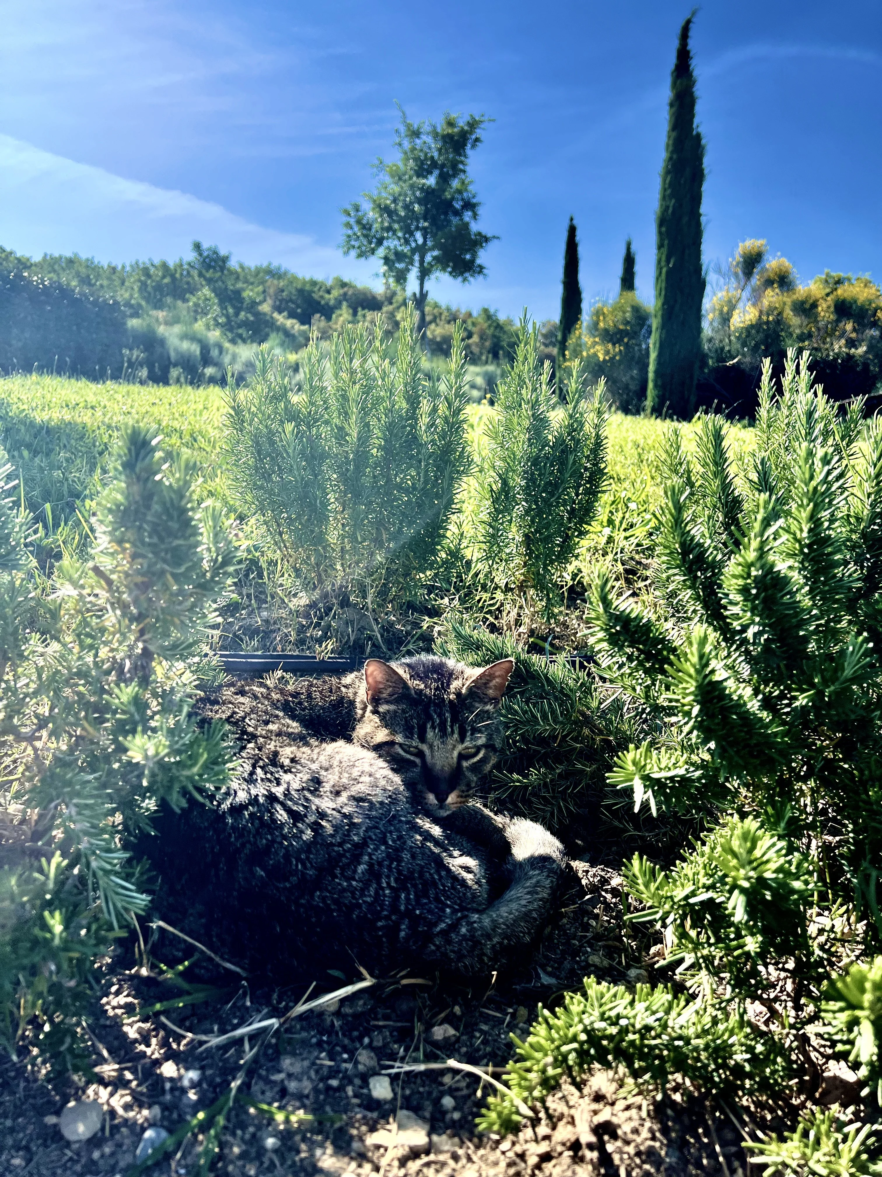A Val d'Orcia en Toscane