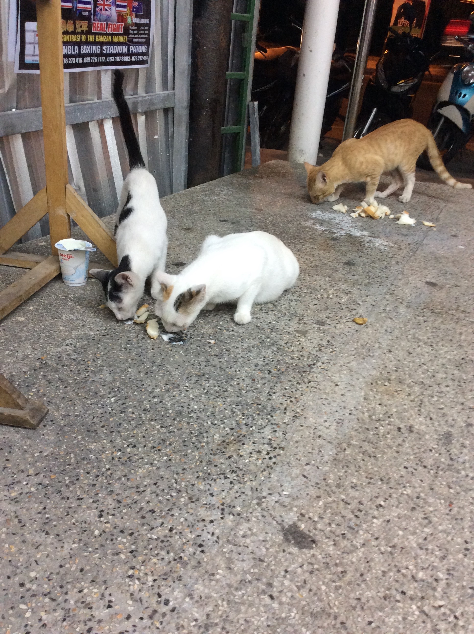 A Karon, devant le bazar