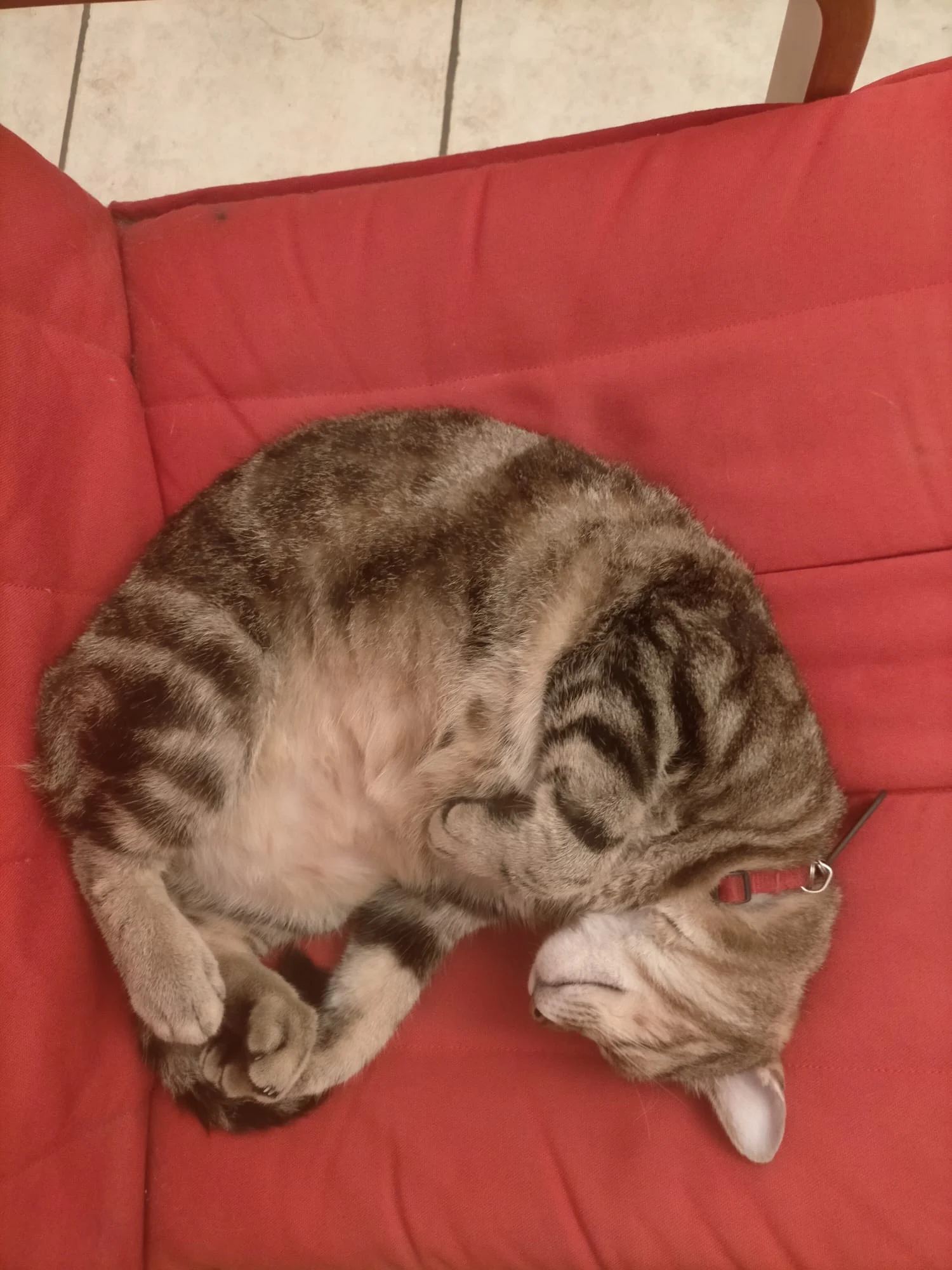 Milo (Catherine, Paris)