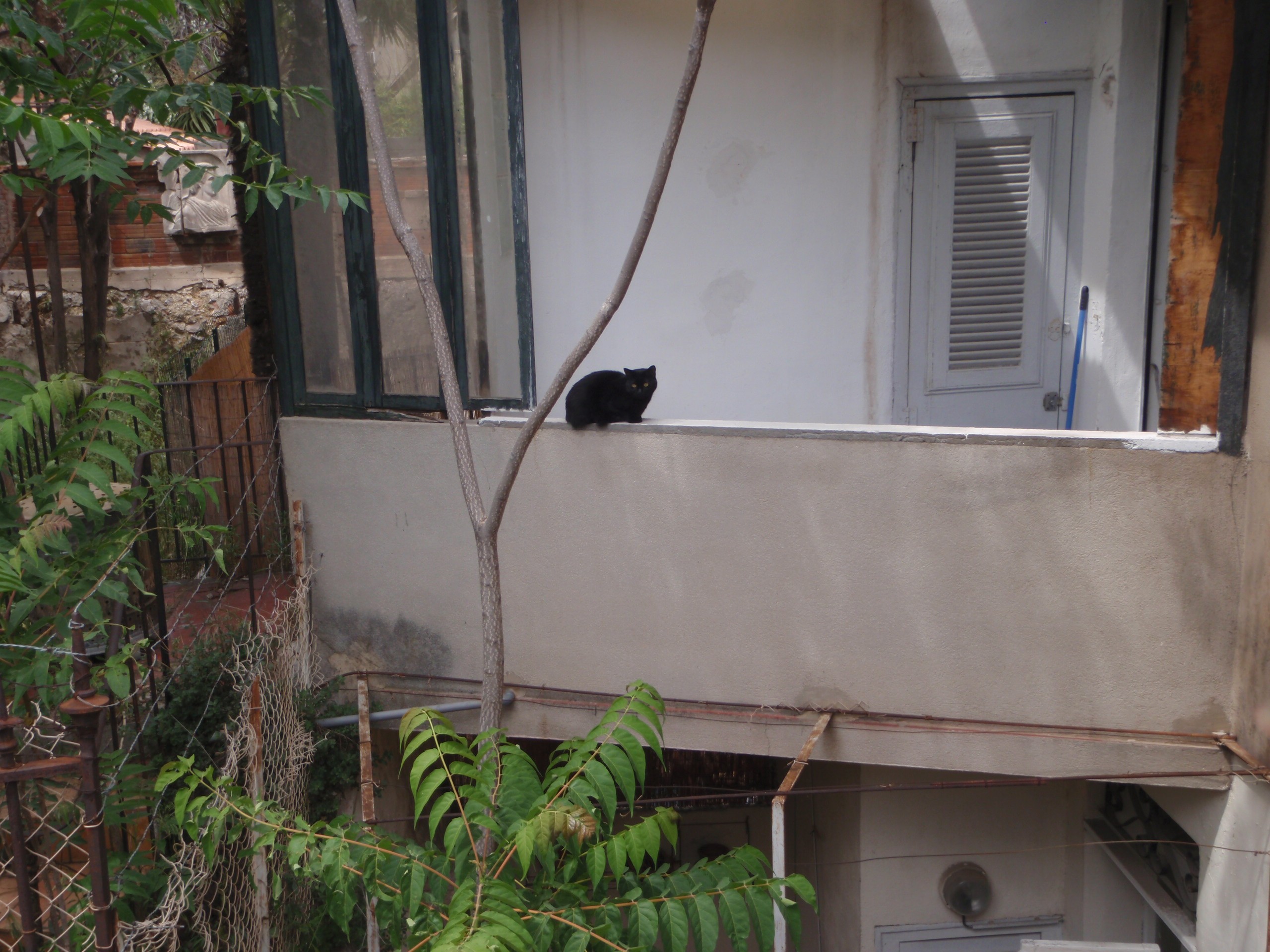 A Marseille, rue Jules Moulet