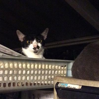 A Karon, dans le garage de l'hôtel