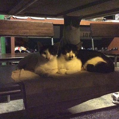 A Karon, dans le garage du Méridien