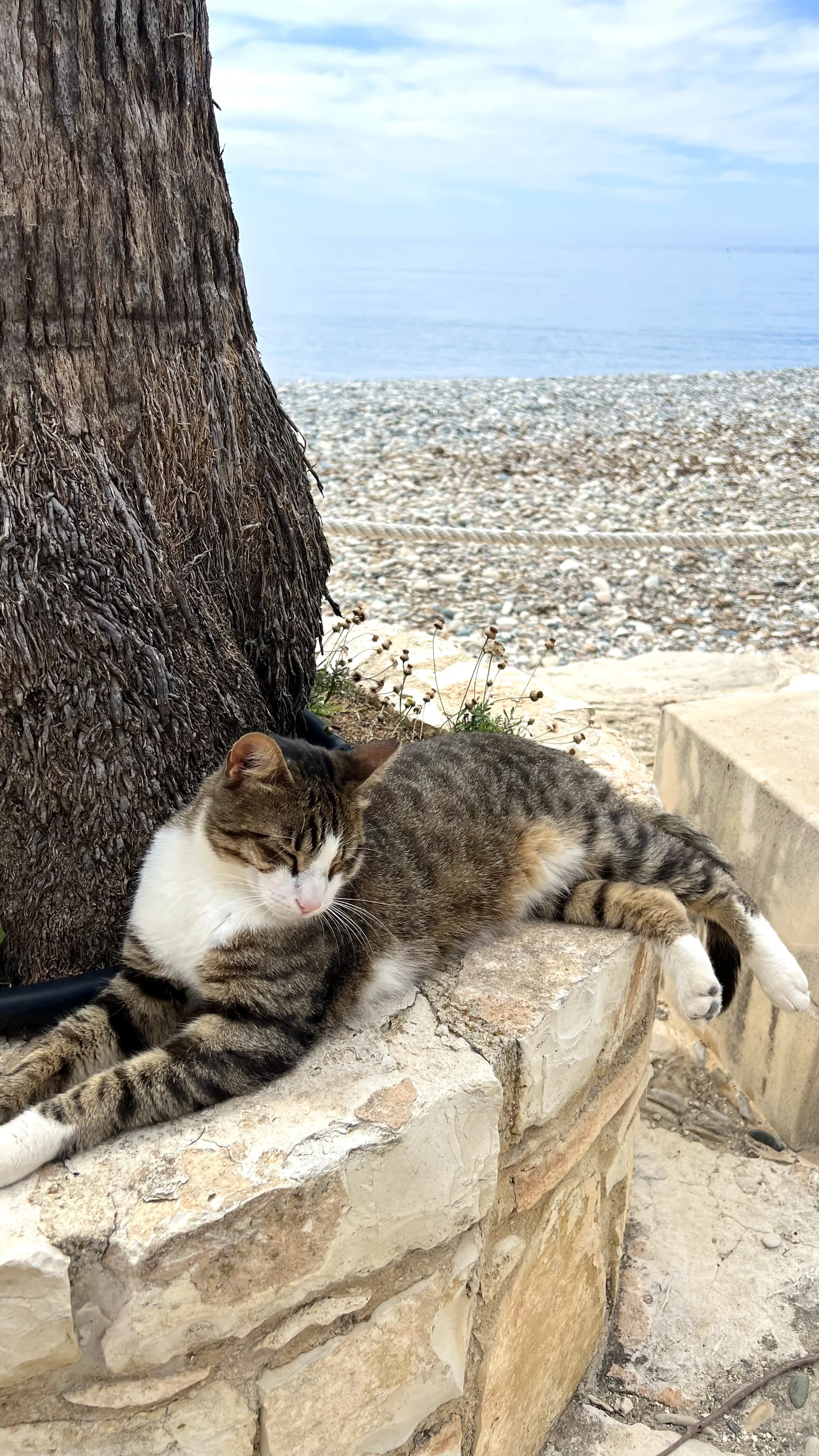 Sur la plage de Pissouri