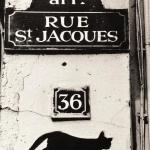 Rue Saint-Jacques, Paris V