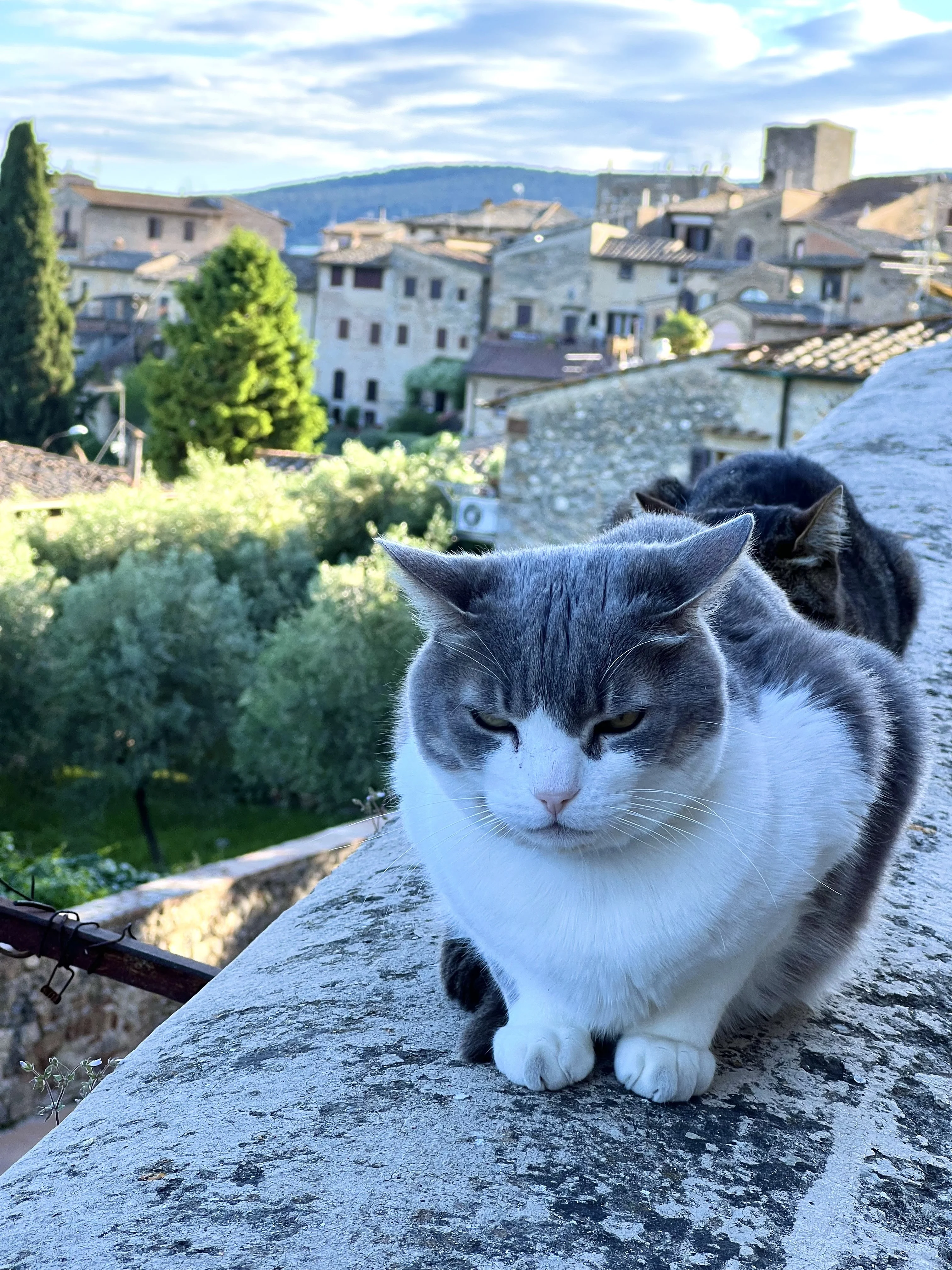 San Gimignano en Toscane