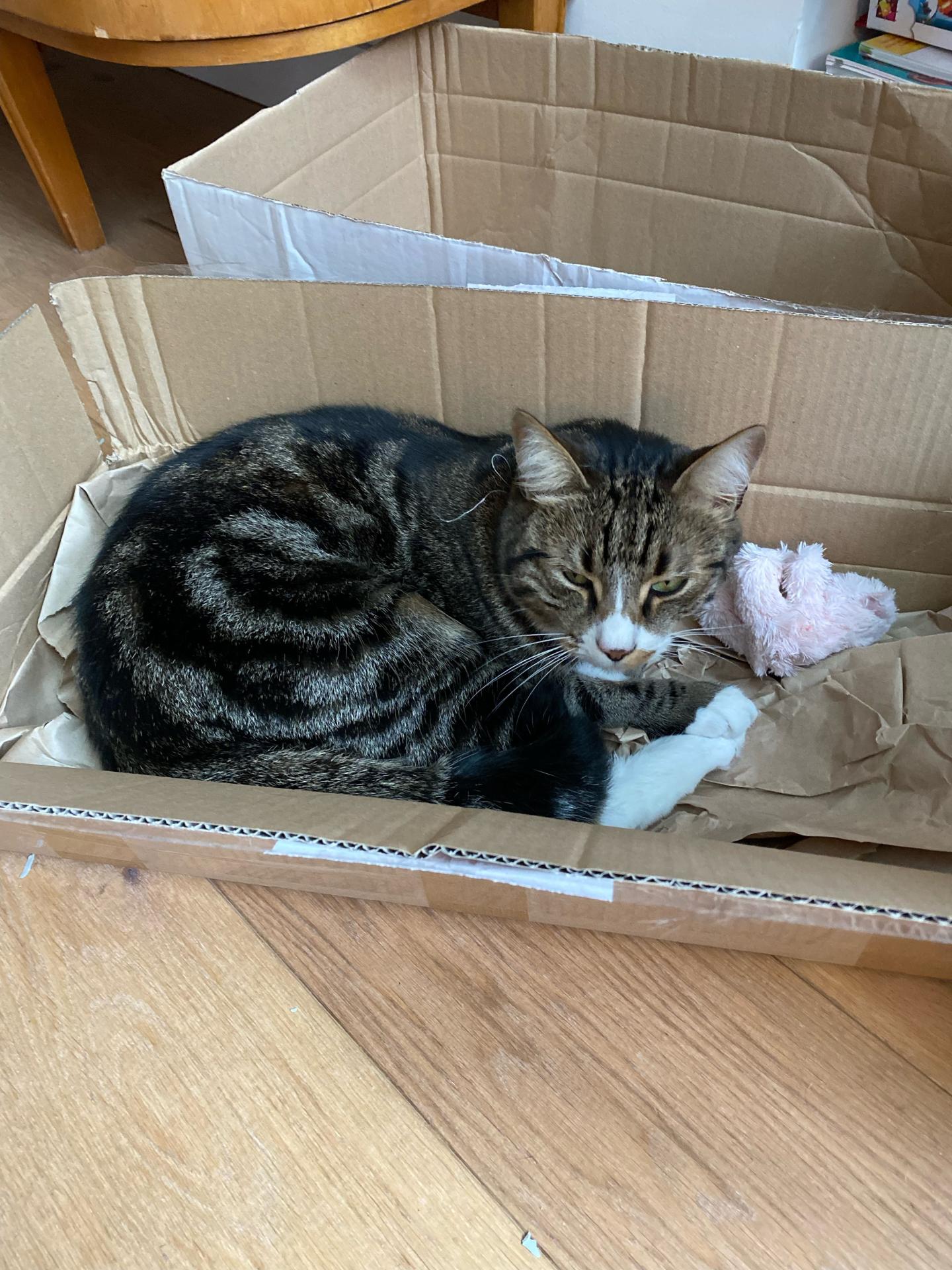 69625392422 6300e50d f488 49ef 88c6 aba3adfecb21