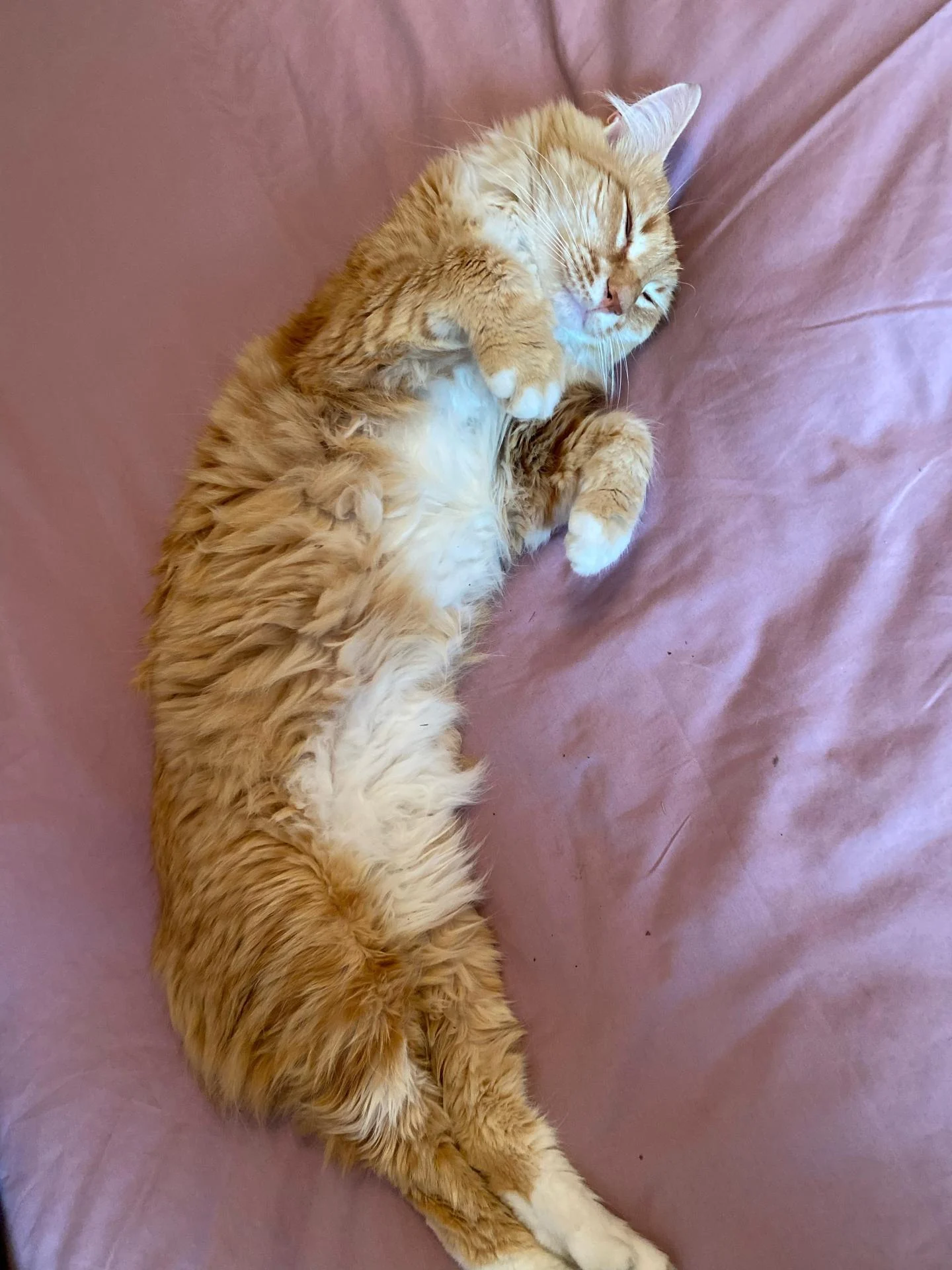 72166445195 eac3ab41 e4b6 4515 8561 c32f4bd7c933 1