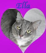 Ella c 2