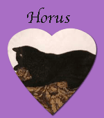 Horus cc