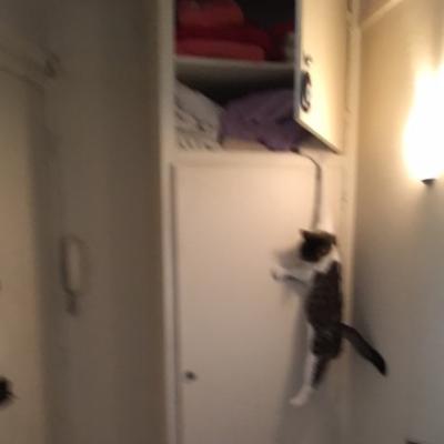 Image1 1