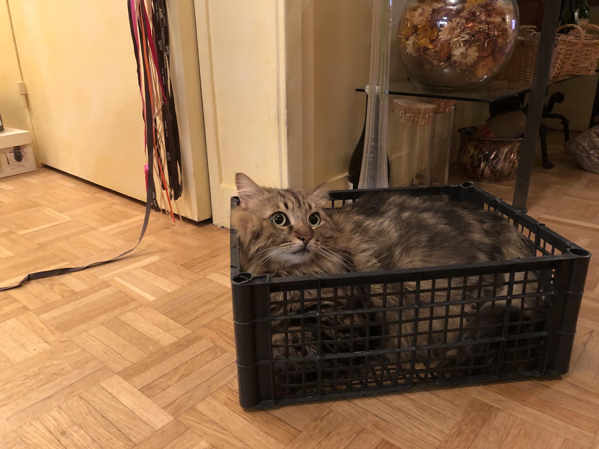 Img 3805