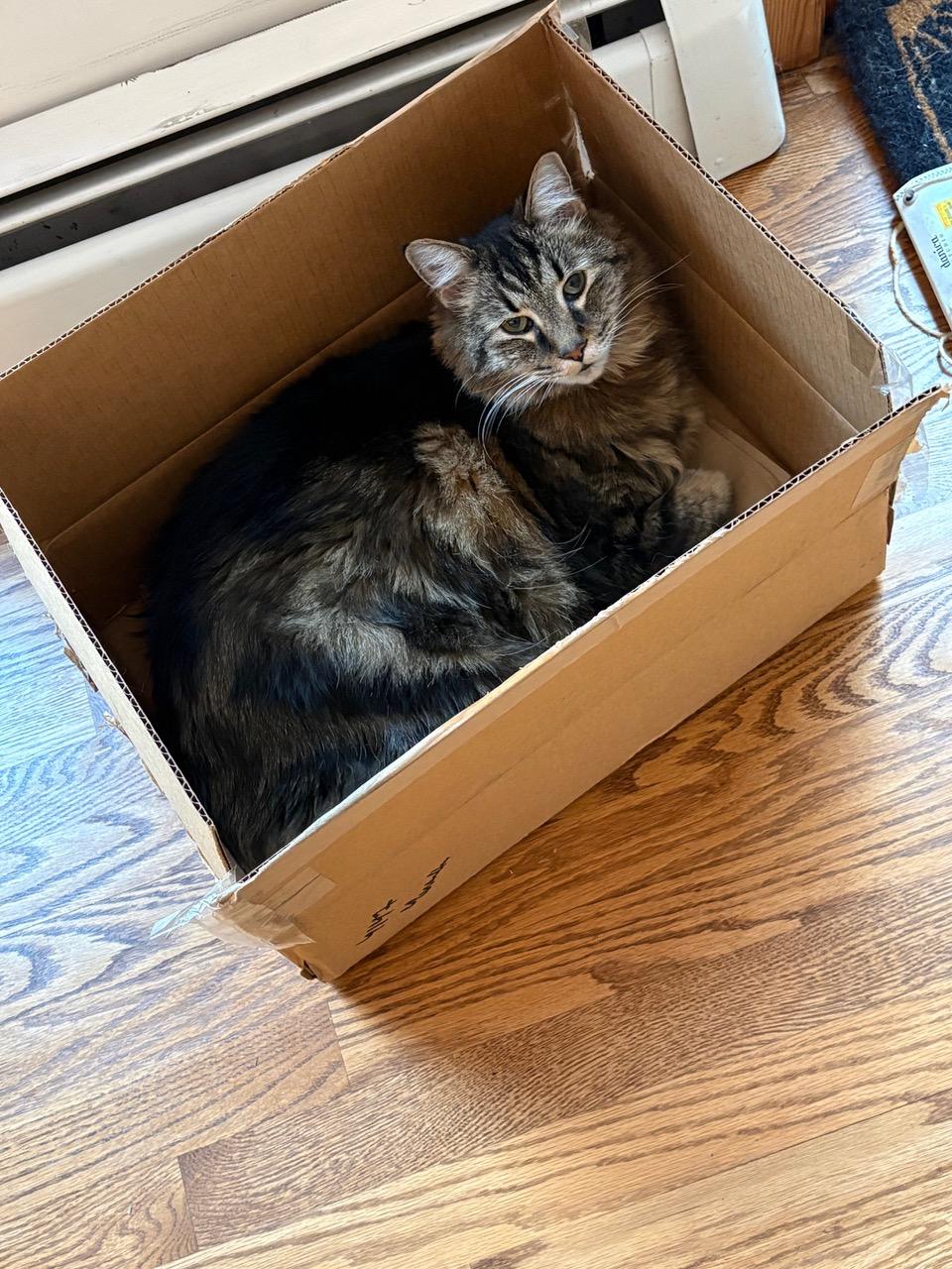 Max