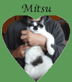 Mitsu coeur