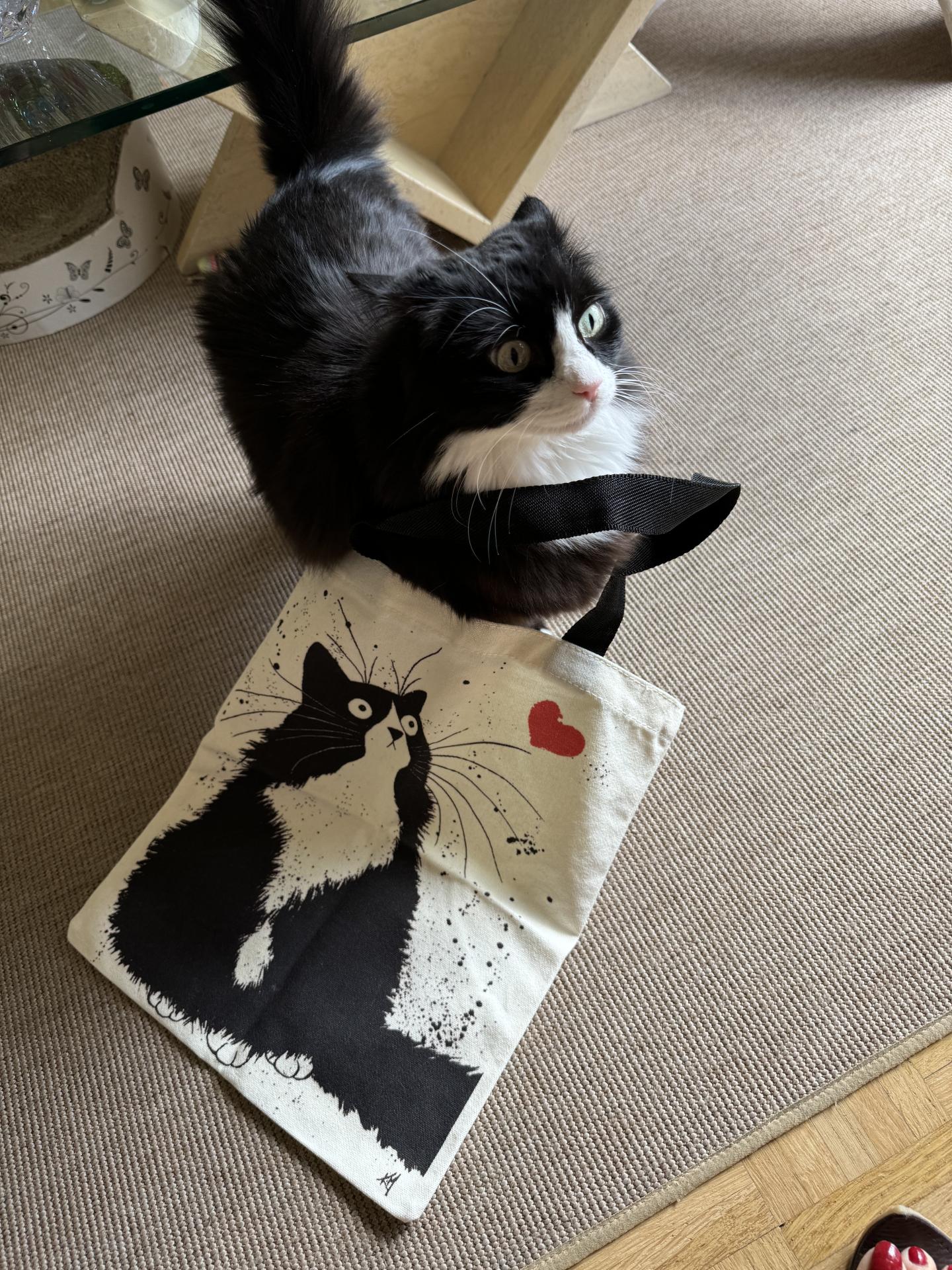 Sac bichette